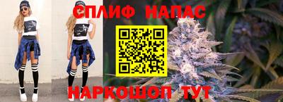сатива Заволжье