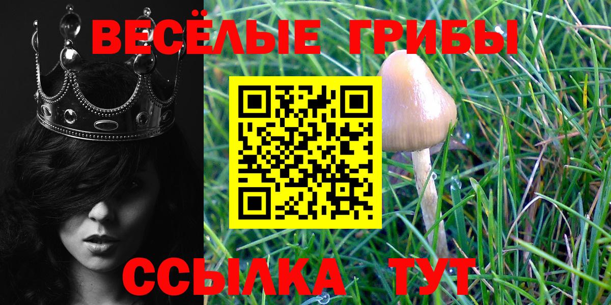 Псилоцибиновые грибы Psilocybine cubensis  Вход с VPN  Кудымкар 