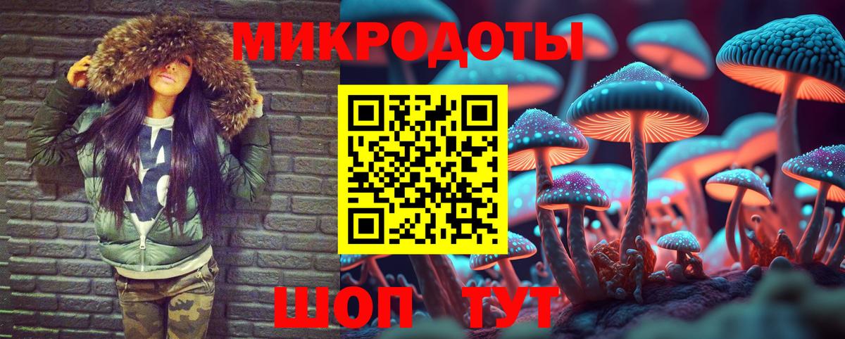 Псилоцибиновые грибы ЛСД Кудымкар